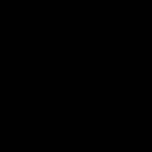 Meet your Posher, Kenneth